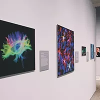 Creative Takes on the Gallery Wall from Florida Art Galleries
