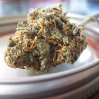 Herbal Remedies for Arthritis Pain: CBD Oil