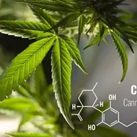 5 Reasons Why Starting a CBD Baked Goods Business is Smart