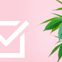 Cannabis Wins from Coast to Coast