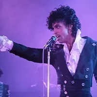 <i>Beyond the Valley of the Dolls</i>, <i>Swiss Army Man</i>, Prince box set among new home entertainment titles
