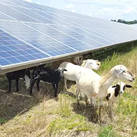 Farming Companies Grow a New Level of Sustainability