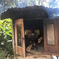 Here's to Dominica