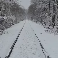 Winter Survival Guide 2018