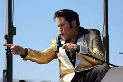 63af5df7_elvis.webp
