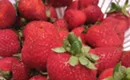 Where to find the savory side of summer fruits