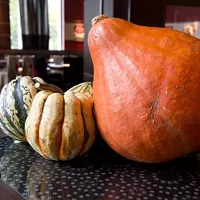 Winter squash: The other pumpkin